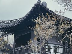 -何园