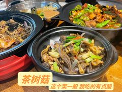 -醉得意·山茶油炒土鸡(泰安吾悦广场店)