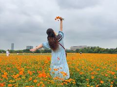 -长广溪湿地公园