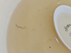 -马子禄牛肉面(金宝街店)