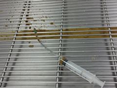 -瑞鹏宠物医院·夜间急症·心超·猫科(祖庙分店)