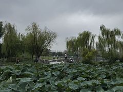 -武汉园博园(武汉自然博物馆)