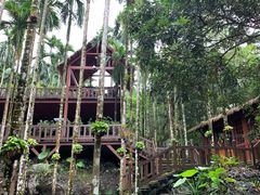 -七仙岭温泉国家森林公园