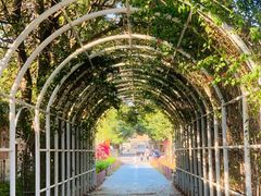 -蔡氏古民居建筑群