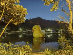 -大雁山风景区