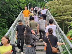 -佛山华盖山公园