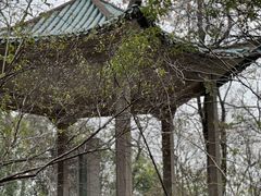 -岳麓山风景名胜区