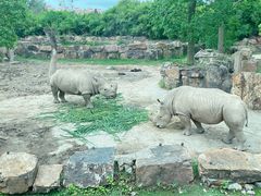 -上海野生动物园