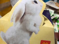 -麦当劳(农光里店)