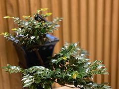 -长禧家·珑厨(东山口店)
