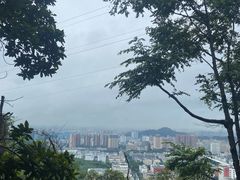 -立新湖公园
