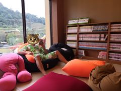 -重庆南山海昌汤都