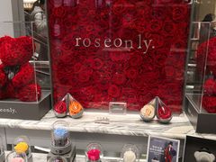 -ROSEONLY诺誓(国际广场购物中心店)