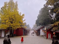 -金堂县云顶石城风景区