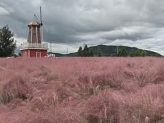 -羊亭河湿地公园