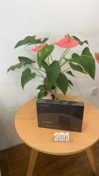 -章光101防脱养发荟