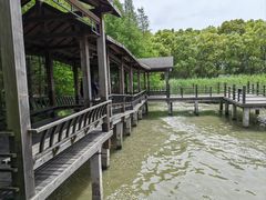 -溱湖国家湿地公园