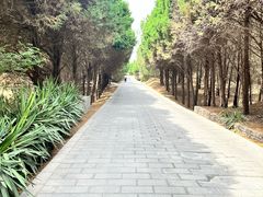 -秦始皇帝陵博物院-丽山园