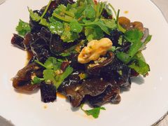 秋耳拌桃仁-洞庭家宴·头牌甲鱼(广渠门店)