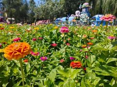 -长春公园(普阳街道)