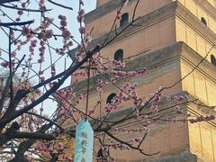 -大慈恩寺(大雁塔)