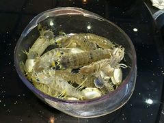 -渔傅·蓝海岸霞浦海鲜(正祥店)