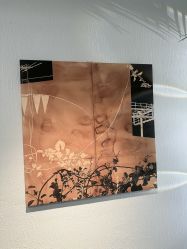 -小梨·OndaPro·专业脱毛连锁机构