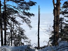 -瓦屋山景区