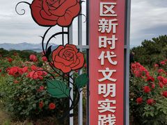 -密云玫瑰情园