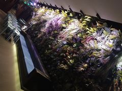 景观位-海底捞火锅(金花路店)