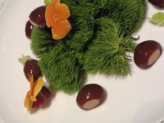 -名人坊·新派粤菜(河西奥体博览中心金鹰世界店)