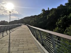 -牛岗山公园