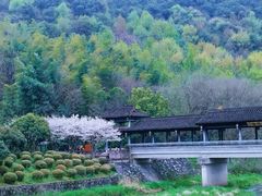 -兰亭风景区