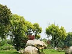 -昆山城市生态森林公园