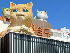 -向外鱼乐·土菜·虹鳟鱼