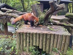 -云南野生动物园