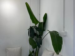 -收获咖啡HARVEST RESERVE(苍山店)