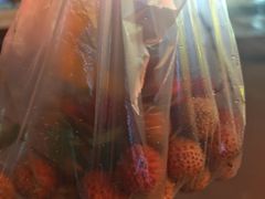 -塔斯汀中国汉堡(黄埔敏捷广场店)