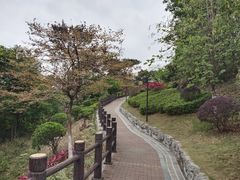 -四望岗公园