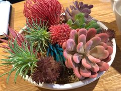 -怡情荟•海鲜青岛菜(五四广场旗舰店)