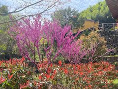 -太湖源风景区