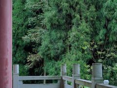-钟鼎寺