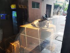 -老字号贾家肉丸糊辣汤(光明巷店)