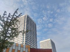 -万达广场(泰安泰山店)