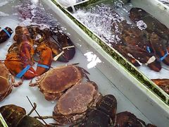 -大湾区中央湿地公园-十九涌