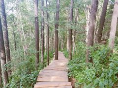 -白草畔自然风景区