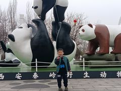 -西安秦岭野生动物园