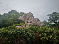 -桃花岛景观公园