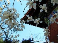 -红螺寺