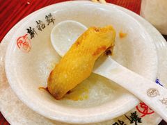 -新招鲜本地鸡窝(平凉路店)